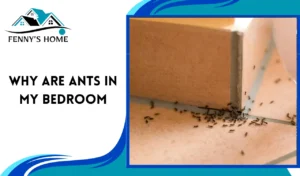 Read more about the article Why are ants in my bedroom