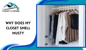 Read more about the article Why does my closet smell musty